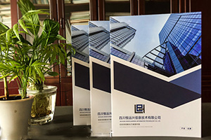 欣賞企業(yè)畫冊設計案例 分析專業(yè)的畫冊設計方法有哪些技巧？