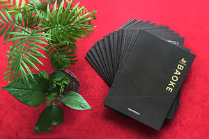 成都畫(huà)冊(cè)設(shè)計(jì)公司 具有專(zhuān)業(yè)的畫(huà)冊(cè)創(chuàng)意設(shè)計(jì)方向！