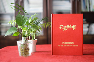 疫情紀(jì)念冊 為疫情后的醫(yī)療隊(duì)志愿者制作紀(jì)念冊 紀(jì)念不平凡！