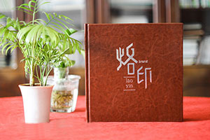 個(gè)人成長紀(jì)念冊(cè)制作 設(shè)計(jì)專業(yè)的紀(jì)念冊(cè) 紀(jì)念成長故事！