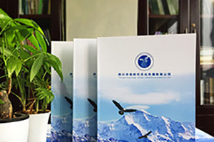畫(huà)冊(cè)設(shè)計(jì)分類(lèi) 畫(huà)冊(cè)設(shè)計(jì)類(lèi)型主要有哪些