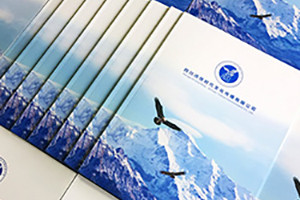 企業(yè)畫冊設(shè)計思路、理念有哪些重要的設(shè)計原則？