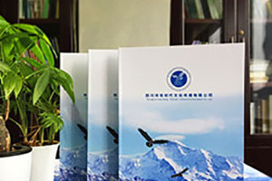 企業(yè)宣傳冊(cè)怎么制作更好 從企業(yè)宣傳畫冊(cè)的意義和重要入手