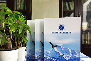 企業(yè)宣傳冊(cè)設(shè)計(jì)的兩大設(shè)計(jì)方向 找到企業(yè)宣傳冊(cè)設(shè)計(jì)的正確方法！