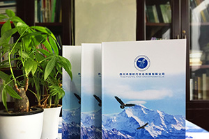 企業(yè)畫冊策劃與設計 企業(yè)畫冊策劃公司必須重視畫冊設計的力量！