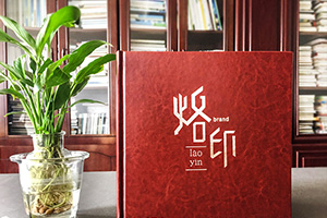 怎樣做出意義深遠(yuǎn)的個(gè)人紀(jì)念冊(cè)，個(gè)人成長(zhǎng)紀(jì)念冊(cè)制作的做法是什么？