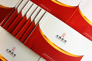 金融行業(yè)畫冊(cè)設(shè)計(jì) 注重金融企業(yè)的畫冊(cè)設(shè)計(jì)需求、方案、設(shè)計(jì)的配合！