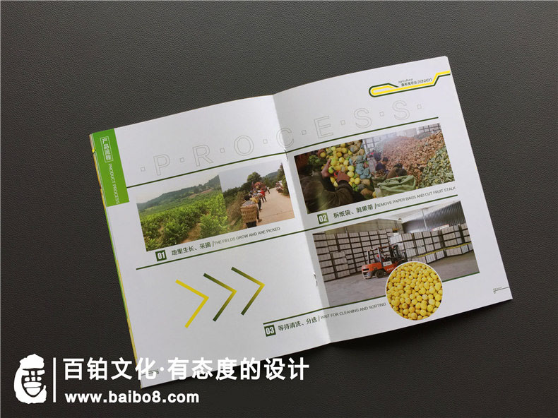 成都彩頁設計公司有哪些